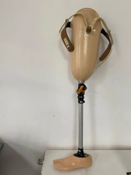 Therapeutic Training Hip Prosthesis PN6-72LT