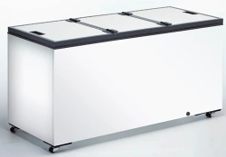 CARAVELL Chest Freezer Model 63595+ for Efficient Storage