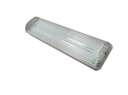 LED Ceiling Light for Industrial Use - ЭГ-ДПП-11-10-001-У2-65-ПДП