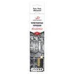 High-Quality Graphite Art Pencils Set VISTA-ARTISTA Academia VAGPS-6 (8x6 pcs)