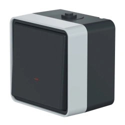 CADUCEUS ALING Protecta Single-Pole Switch with Indicator 16A, 250V, IP55, Anthracite