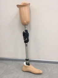 Modular Hip Prosthesis for Congenital Deficiency PN6-72.01