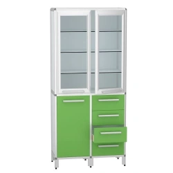 Medical Instrument Cabinet with Aluminum Frame, Model DM-1-101-21.K2.F1