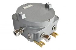 Electrical Equipment Enclosure OЭАА-ВЭЛ-3-IIC