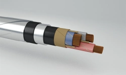Power Cables with Paper Impregnated Insulation, Aluminum Conductors, 1 kV, ASBG Model