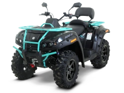 All-Terrain Vehicle for Snow and Swamp RM 500-2