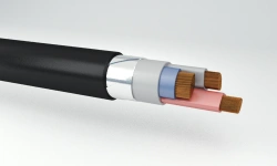 Power Cables with Copper Conductors and Plastic Insulation, 1 kV, VBaShv Model