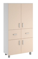 Medical Cabinet for Storage and Organization - Model ШК.13.19