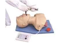 Realistic Tracheal Intubation Training Model 3