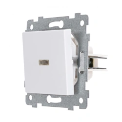 Axiom Single Switch Mechanism with Indicator Light C110-448, White