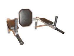 Wall-Mounted Gymnastics Bars for Core Training