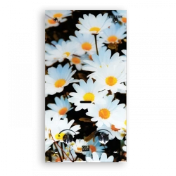 Instant Gas Water Heater for Home Use, Model VilTerm S10 Glass