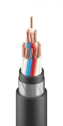 Fire-Resistant Control Cable KVBbShvng(A)-LS for Safety Applications