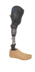 Therapeutic Training Prosthesis for Shin
