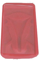 Intrauterine Contraception Model B5