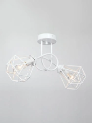 General Purpose Ceiling Light V4930-0/2PL