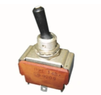 Double-Pole Switch P2T