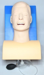Multifunctional Airway Model for Endotracheal Intubation ROST-51-1