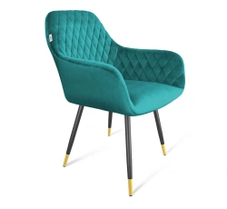 Soft Velvet Upholstered Chair Sheffilton SHT-ST38/S95-1