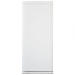 Full-Size Freezer Biryusa "6046SN
