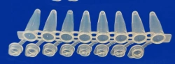 Non-Sterile Polymer Test Tube for In Vitro Diagnostics - PM3K-7-21-P