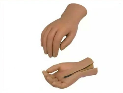 Active Hand Prosthesis PRO-22-1