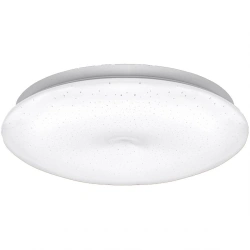 LED Wall and Ceiling Light GLANZEN RPD Series