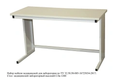 Stainless Steel Work Table for Food and Medical Use - SPVLAB