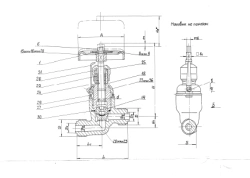 Non-return Shut-off Valve, DN 20, PN 4.0 MPa, Model ITSHL.491911.008-02
