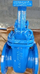Steel Wedge Gate Valve with Rising Stem for Drive PN 2.5 MPa DN 100