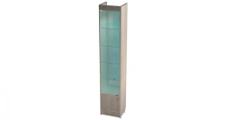 Narrow Showcase with Lighting 400x350x2150mm
