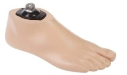 SACH Bathing Prosthesis Foot 1H02B