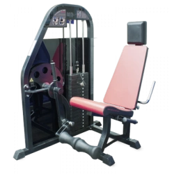 Seated Leg Extension Machine (Weight Stack)