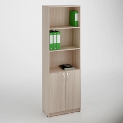 Document Cabinet with 2 Doors and Shelves