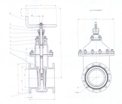 Brass Wedge Gate Valves DN 80-250 PN 0.6 MPa for Marine Systems