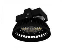Professional Neo 80M LED Pendant Light