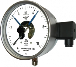 Corrosion-Resistant Pressure Gauge DM2005SgKs