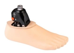 Carbon Fiber Prosthetic Foot with Hydraulic Ankle 1H16Y