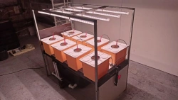 Hydroponic System "ND-8" - Dutch Bucket Method