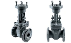 Steel Wedge Gate Valve with Rising Stem for Drive PN 1.6 MPa DN 50