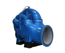 Centrifugal Pump D 12500-24 M for Water and Non-Toxic Liquids
