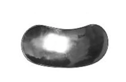 Sectional Metal Matrices for Dental Restoration No. 1.976