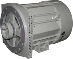 GS2-4 Brushless Synchronous Generator with Voltage Regulation