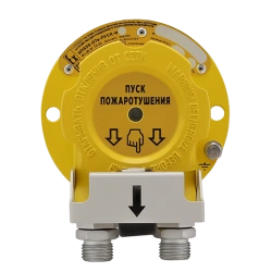 Explosion-Proof Remote Start Device UDP IP535-07ea "PUSK