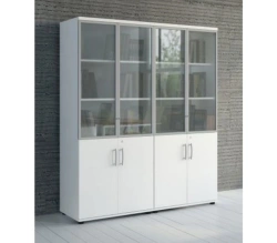 Office and Educational Shelf with Steel and Solid Doors - Home Evolution 406