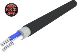 Power Cable for Energy Distribution 2x10mm² AVVG ng(A)LS