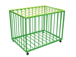 Sports Equipment Storage and Transport System