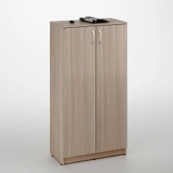 Low Document Cabinet with Two Shelves