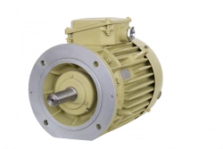 Three-Phase Asynchronous Motors DM160, DMN160 (11-18.5 kW)