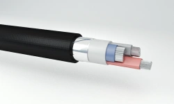 Power Cables with Aluminum Conductors and Plastic Insulation - APvBShvng(A)-LS